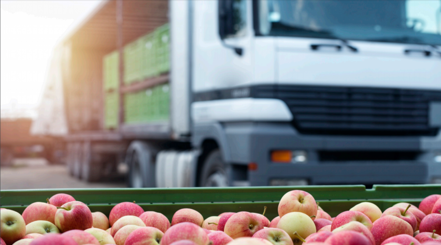 New Research: Improving Food Rescue in Seattle