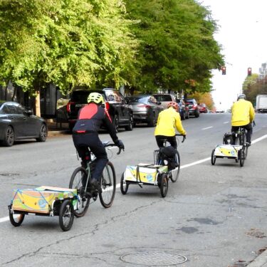 Three bikes carrying boxes of produce.